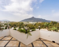Wiederverkauf - apartment - Marbella - Nueva Andalucía