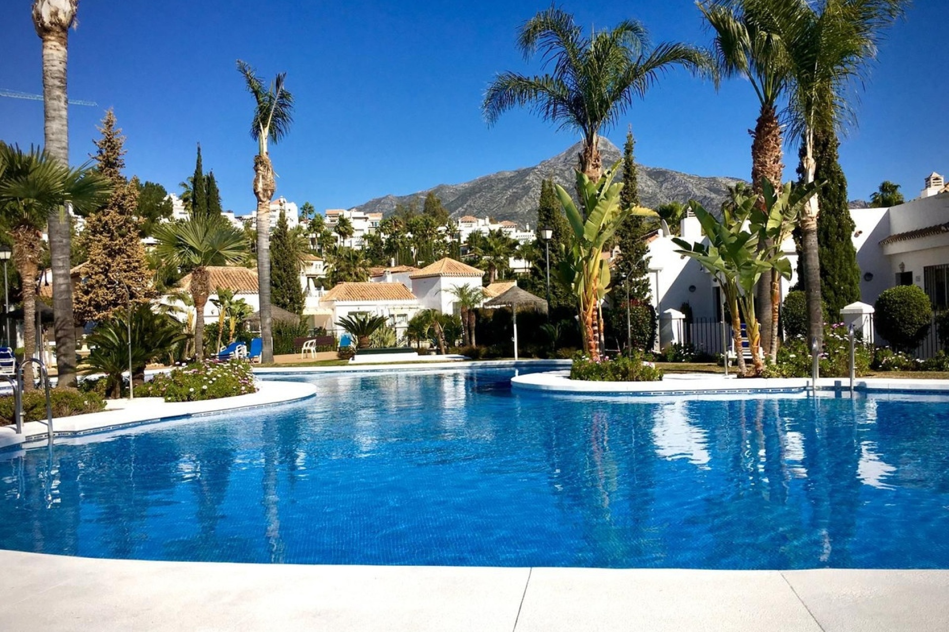 Wiederverkauf - apartment - Marbella - Nueva Andalucía