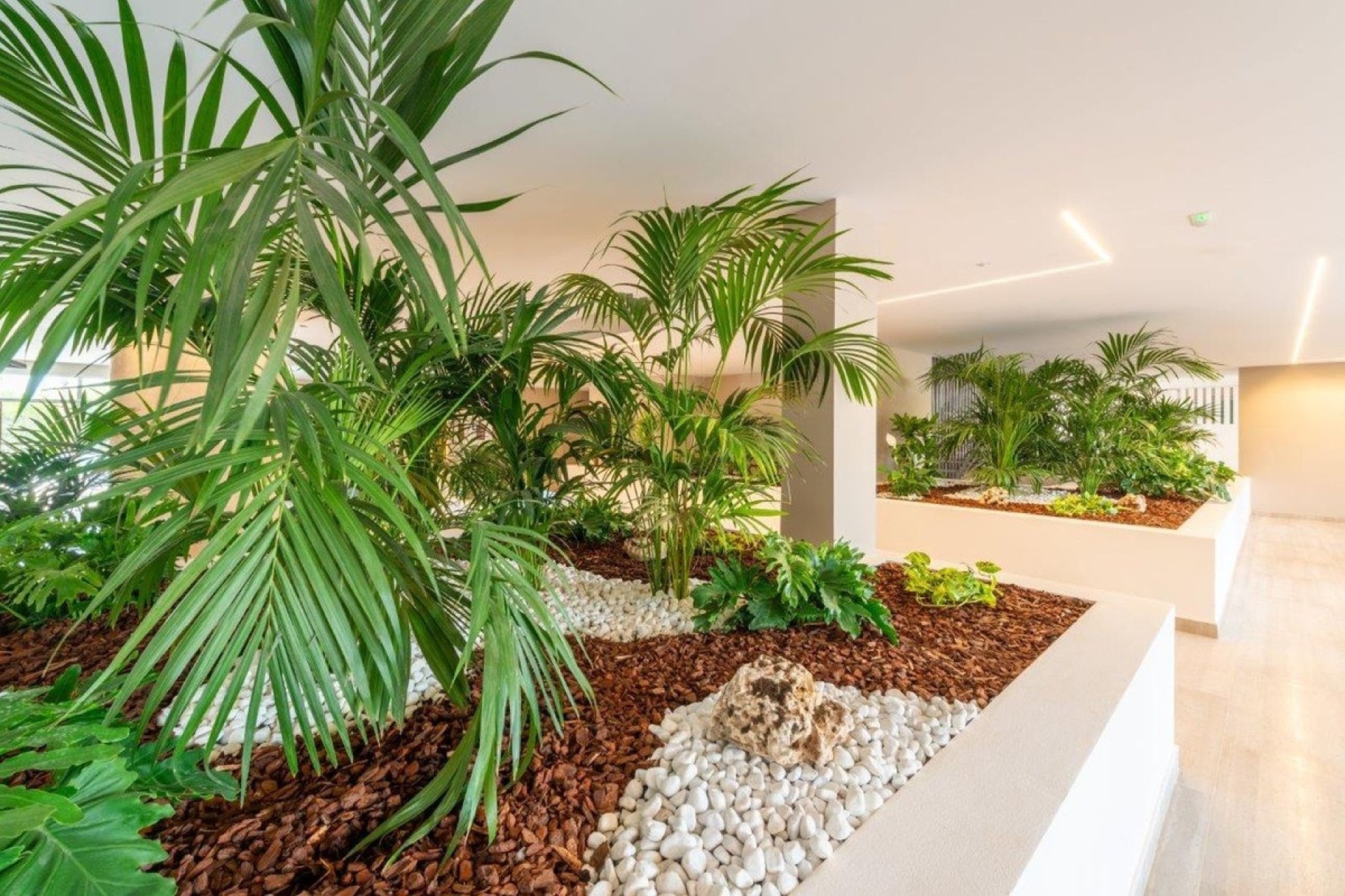 Wiederverkauf - apartment - Marbella - Nueva Andalucía