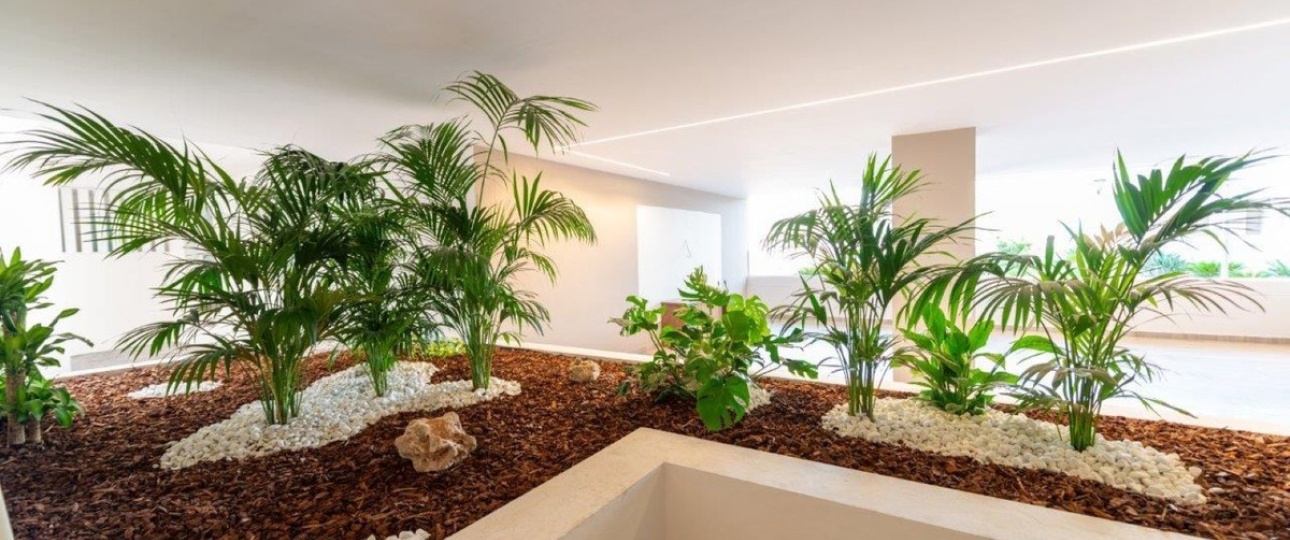 Wiederverkauf - apartment - Marbella - Nueva Andalucía