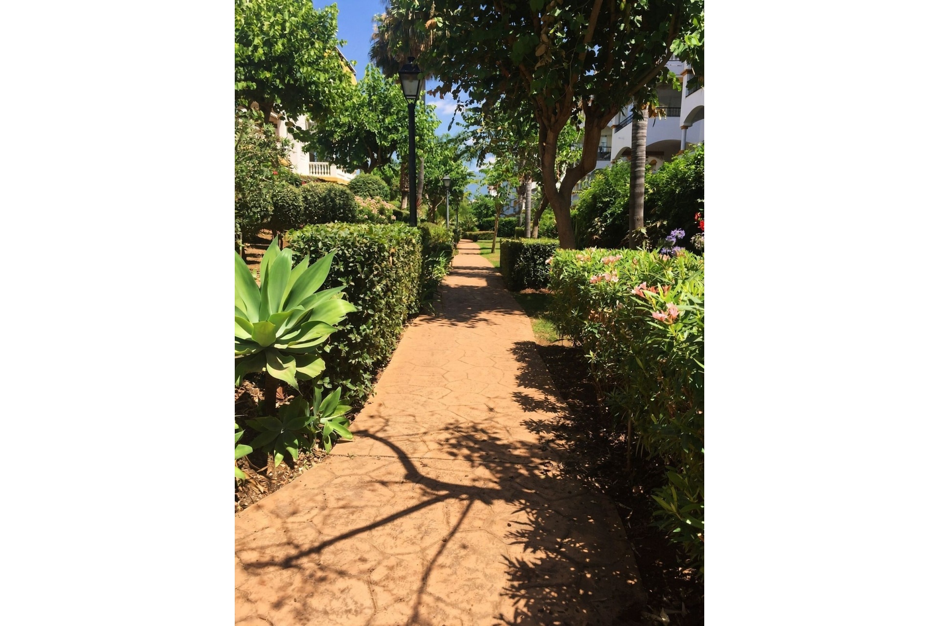 Wiederverkauf - apartment - Marbella - Nueva Andalucía