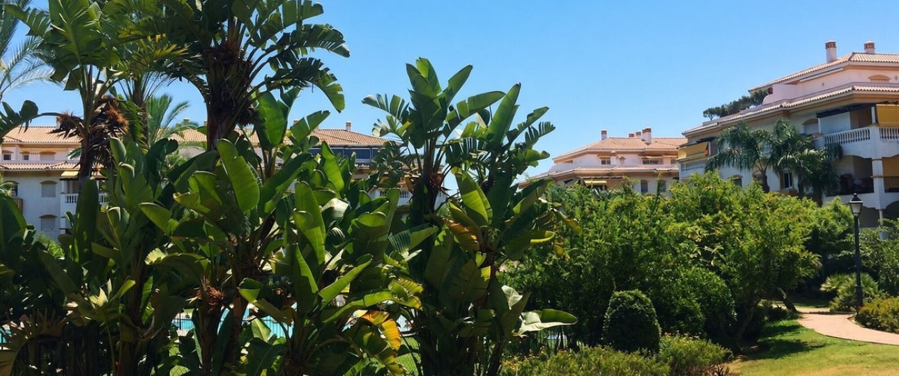 Wiederverkauf - apartment - Marbella - Nueva Andalucía