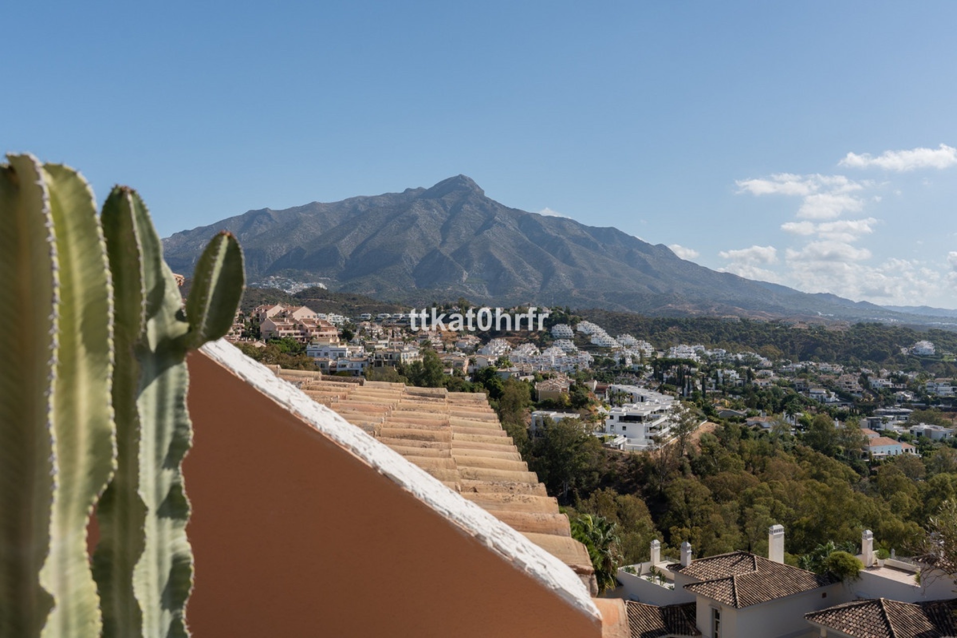 Wiederverkauf - apartment - Marbella - Nueva Andalucía