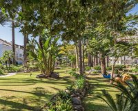 Wiederverkauf - apartment - Marbella - Puerto Banús