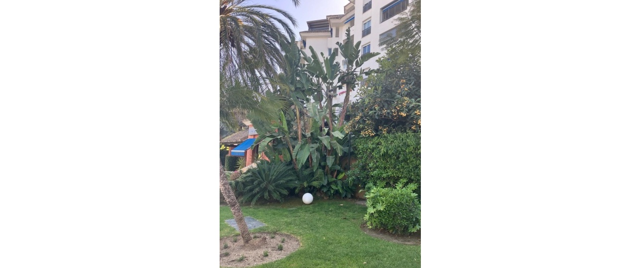 Wiederverkauf - apartment - Marbella - Puerto Banús