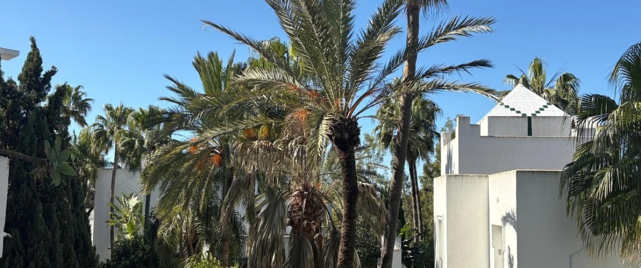 Wiederverkauf - apartment - Marbella - Reserva de Marbella