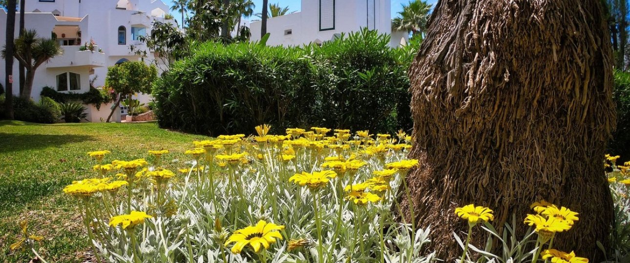 Wiederverkauf - apartment - Marbella - Reserva de Marbella