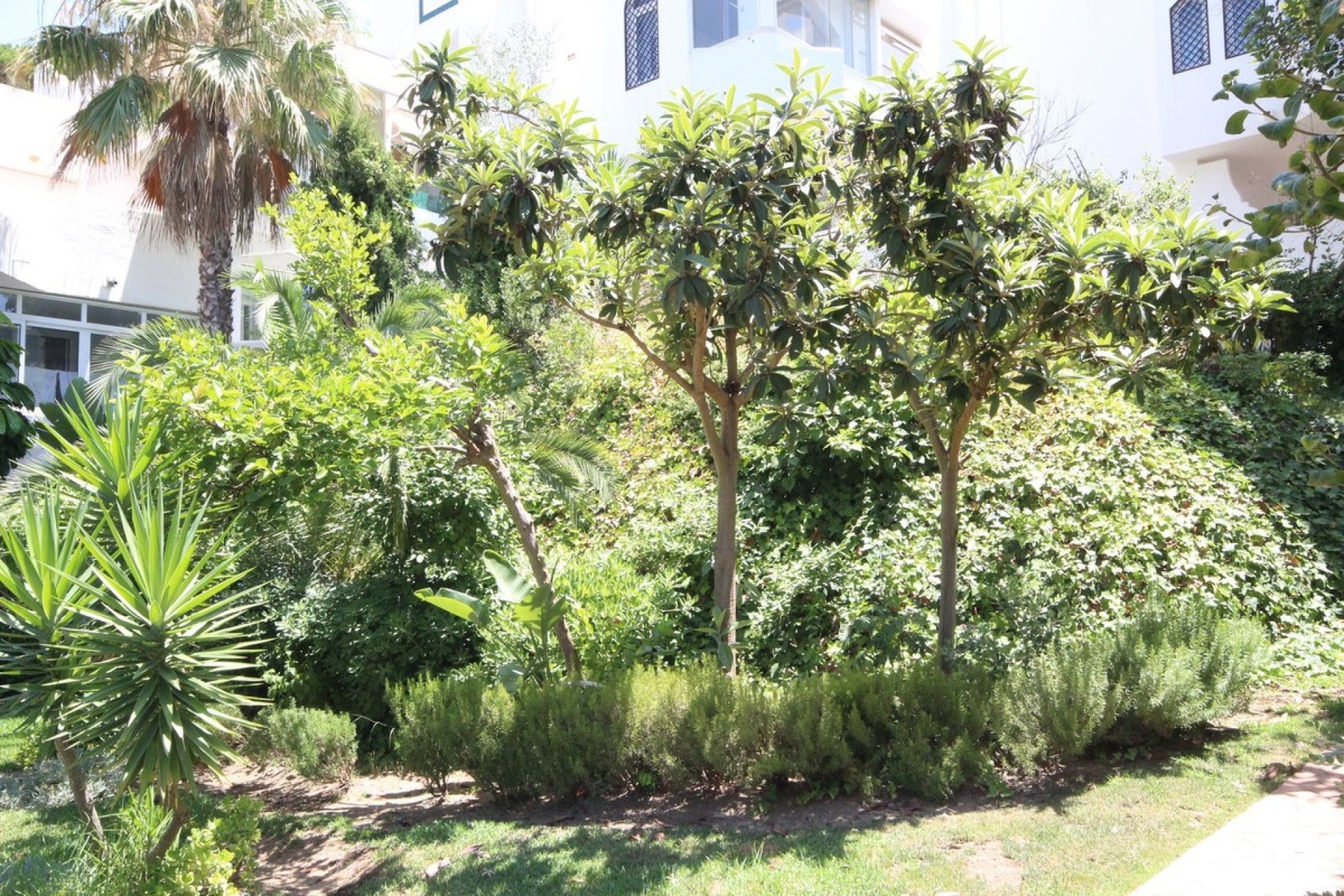 Wiederverkauf - apartment - Marbella - Reserva de Marbella