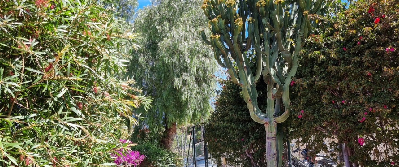 Wiederverkauf - apartment - Marbella - Reserva de Marbella