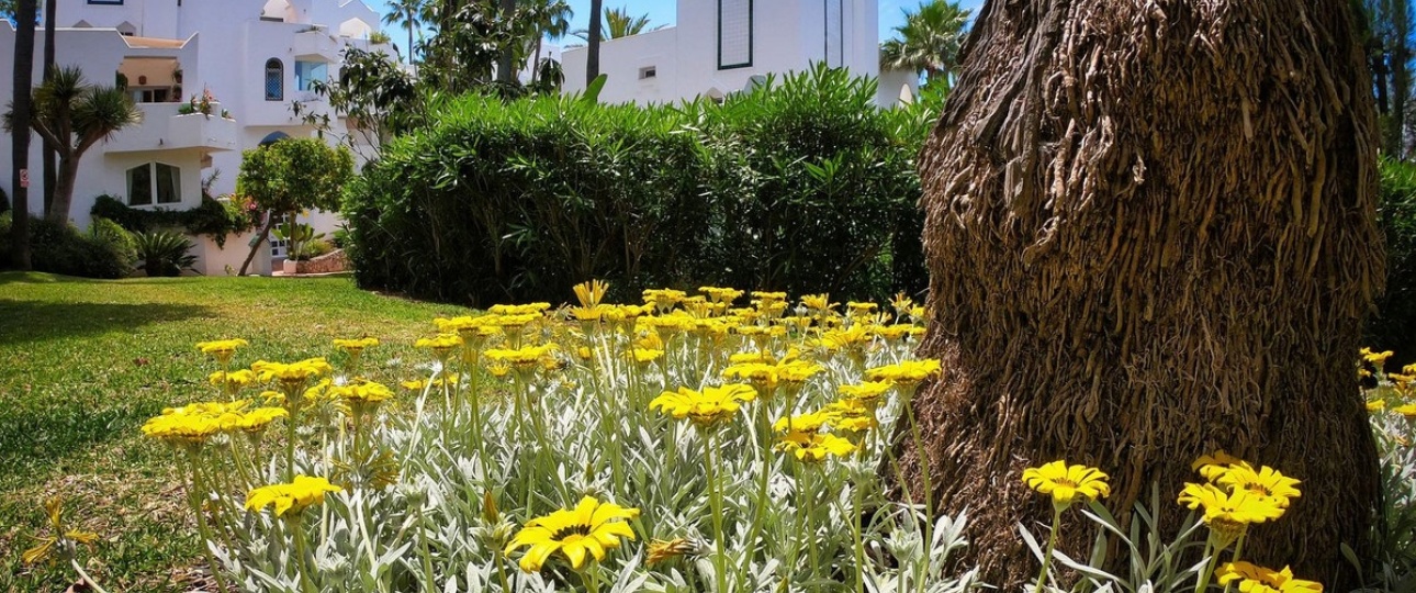 Wiederverkauf - apartment - Marbella - Reserva de Marbella