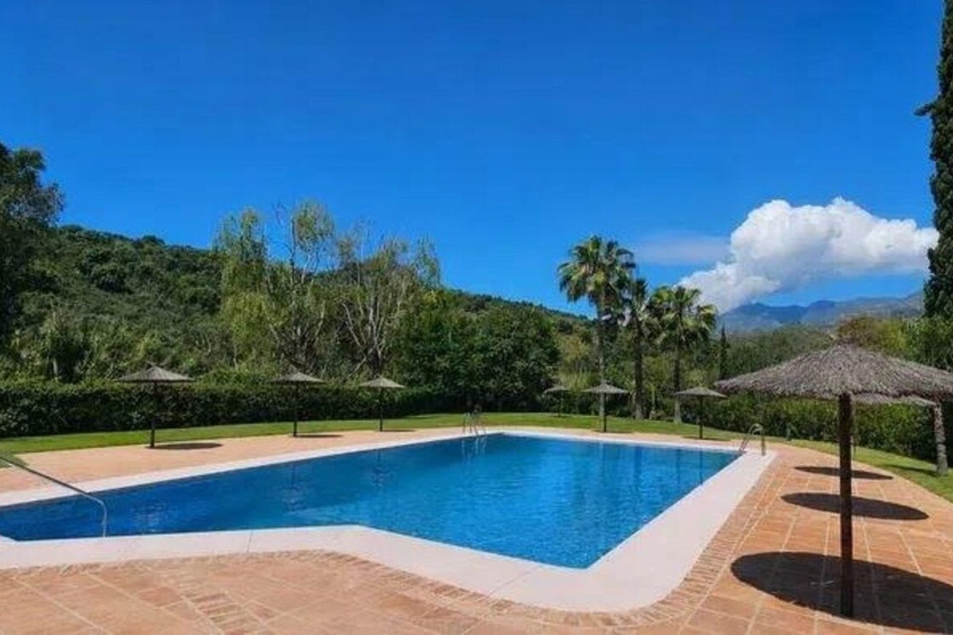 Wiederverkauf - apartment - Marbella - Río Real