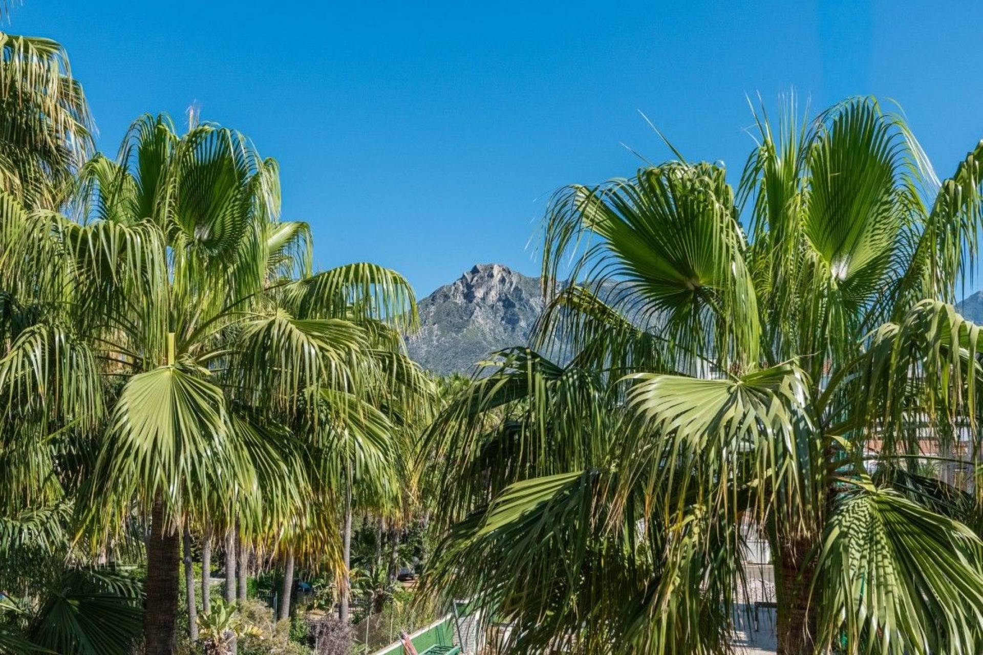 Wiederverkauf - apartment - Marbella - The Golden Mile