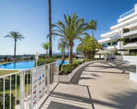 Wiederverkauf - apartment - Marbella - The Golden Mile