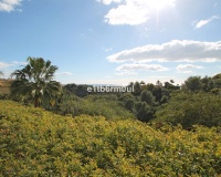 Wiederverkauf - apartment - Marbella - The Golden Mile