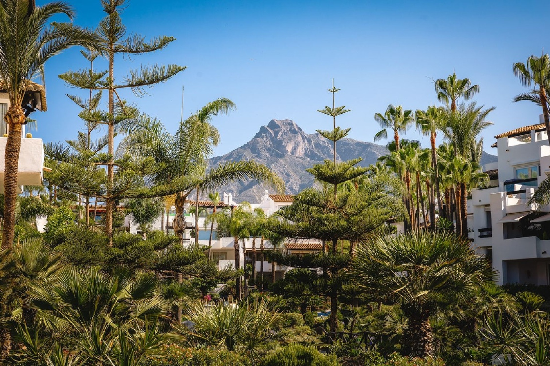 Wiederverkauf - apartment - Marbella - The Golden Mile