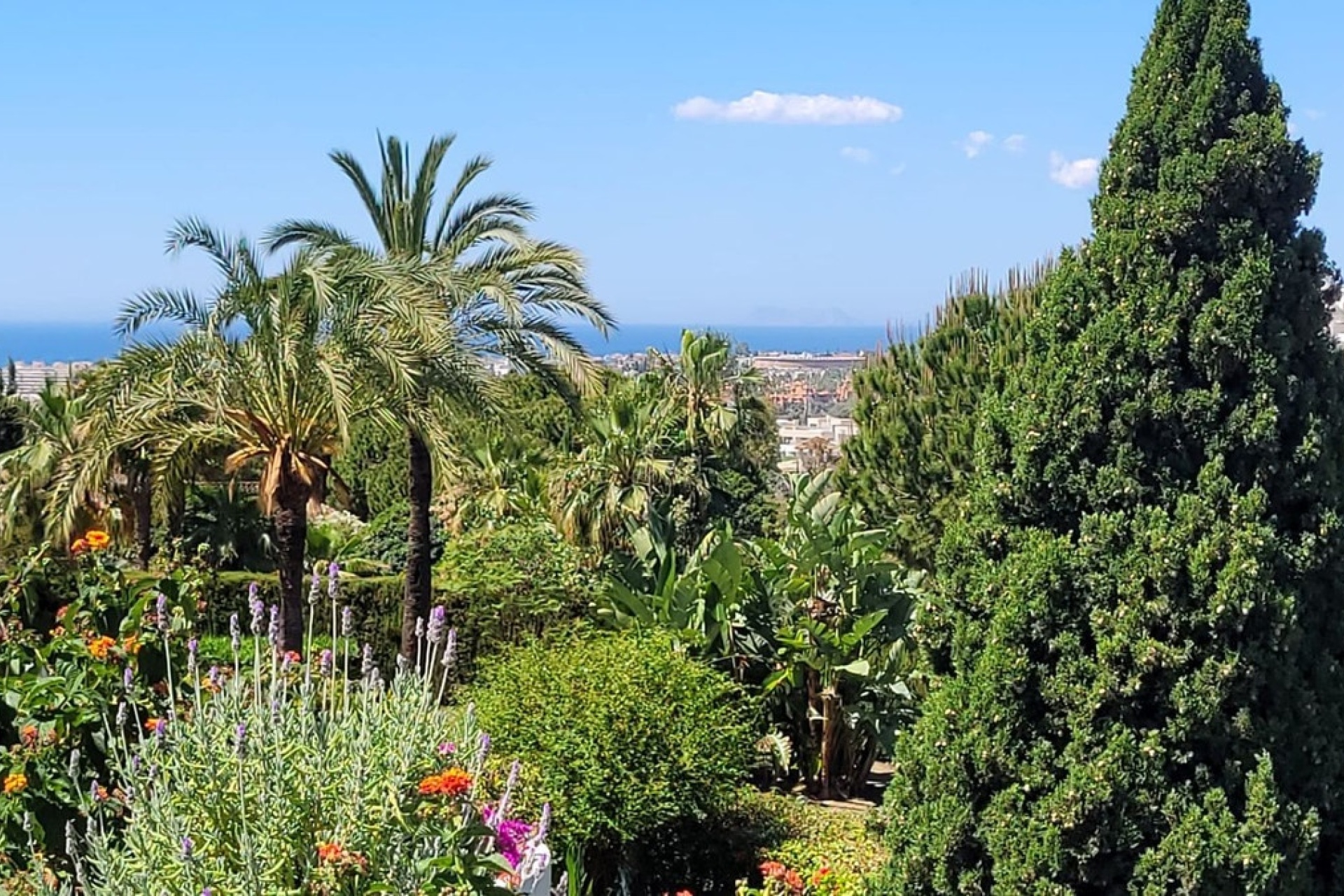 Wiederverkauf - apartment - Marbella - The Golden Mile