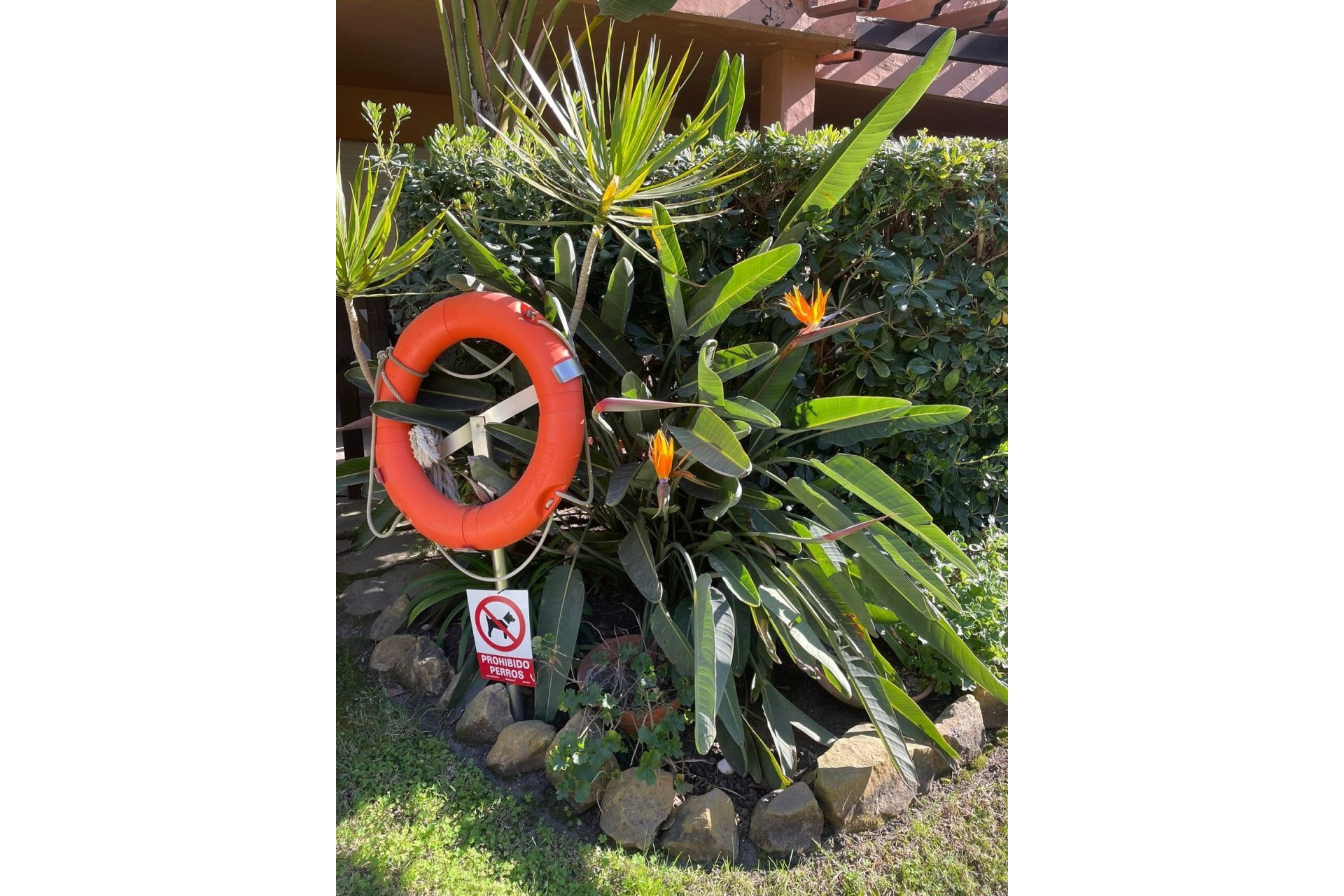 Wiederverkauf - apartment - Marbella - The Golden Mile