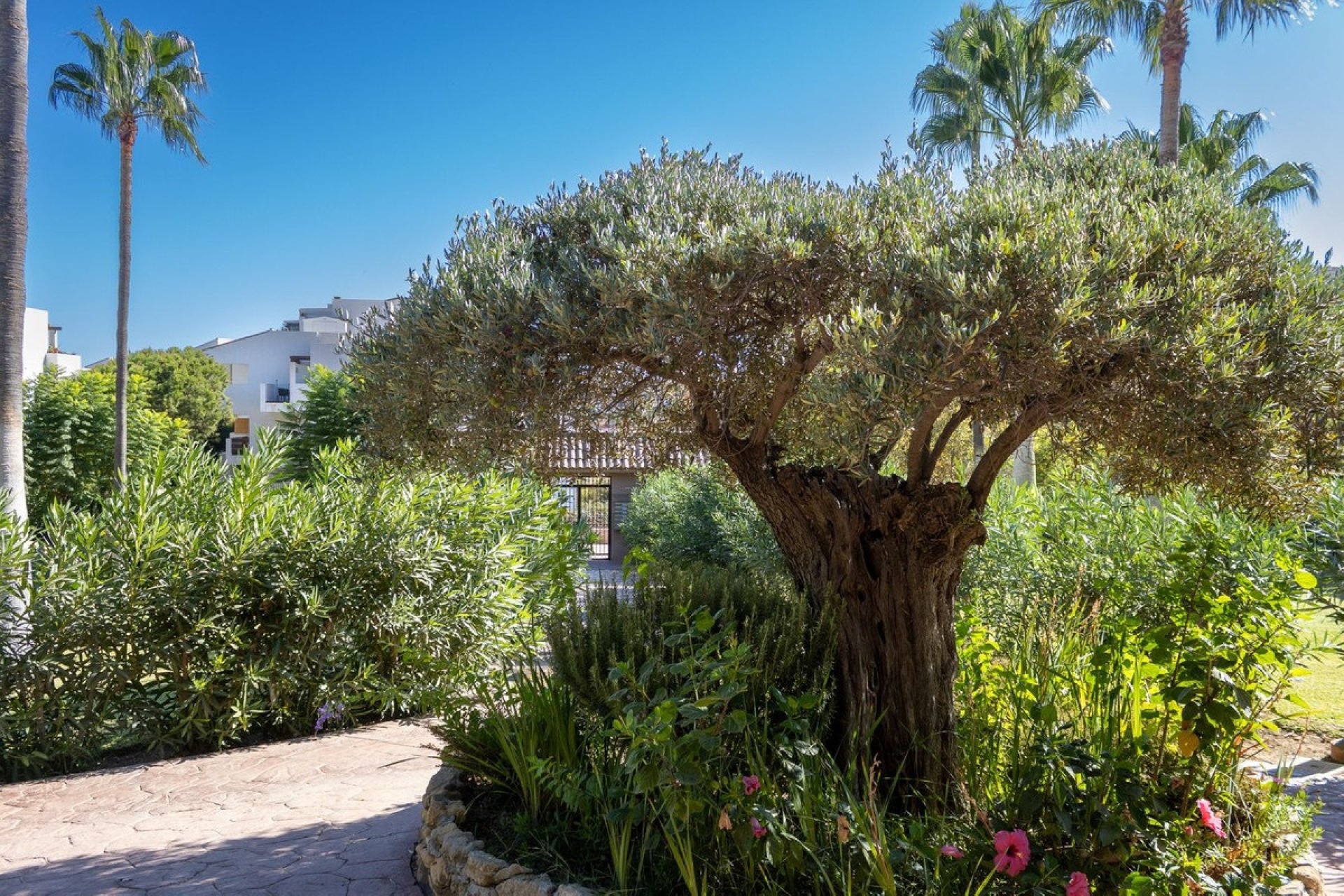 Wiederverkauf - apartment - Mijas - La Cala de Mijas