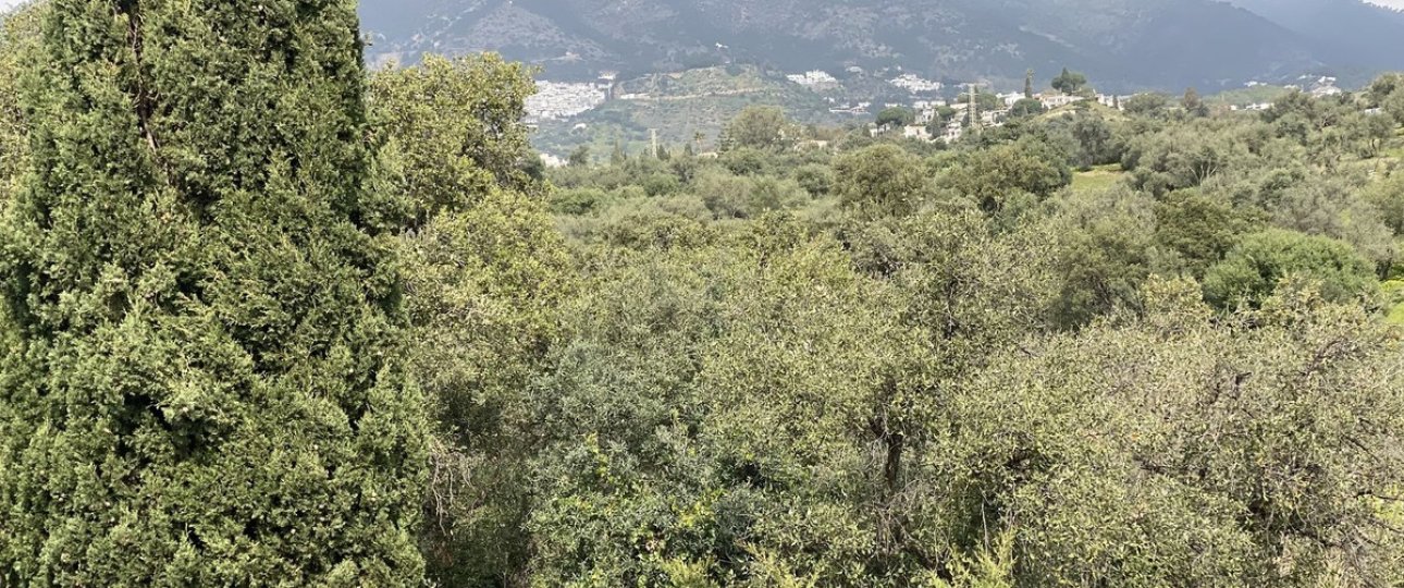 Wiederverkauf - apartment - Mijas - Mijas Centro