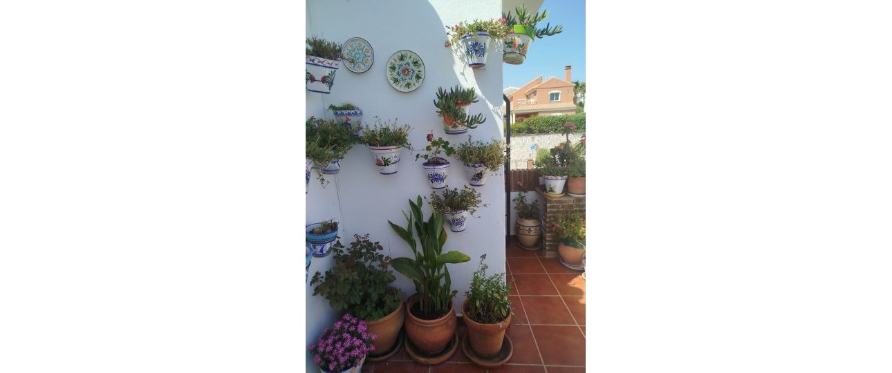 Wiederverkauf - apartment - Mijas - Riviera del Sol