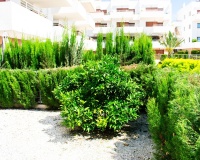 Wiederverkauf - apartment - Orihuela - Cabo Roig