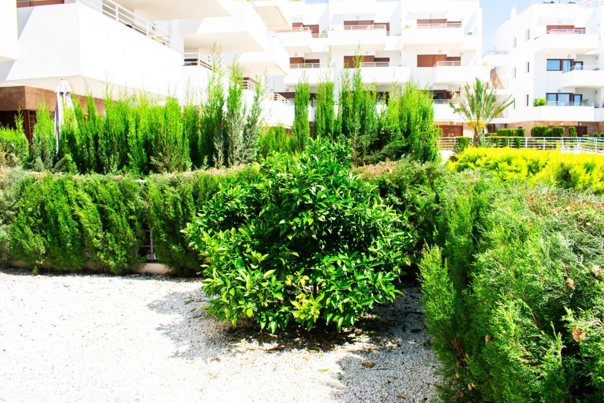 Wiederverkauf - apartment - Orihuela - Cabo Roig