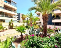 Wiederverkauf - apartment - Orihuela - La Zenia