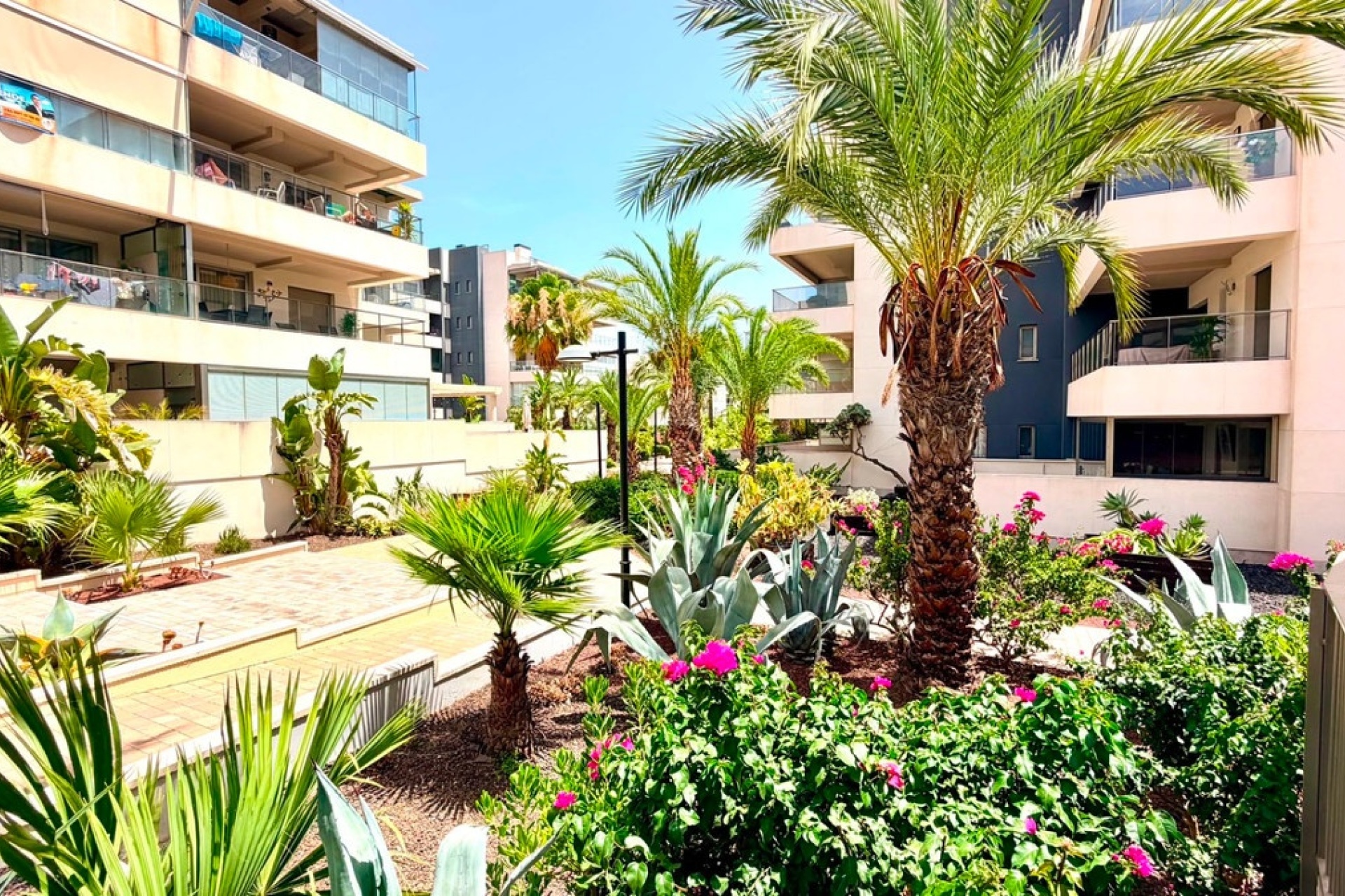 Wiederverkauf - apartment - Orihuela - La Zenia