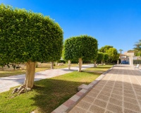 Wiederverkauf - apartment - Orihuela - La Zenia