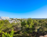 Wiederverkauf - apartment - Orihuela - Las Colinas Golf