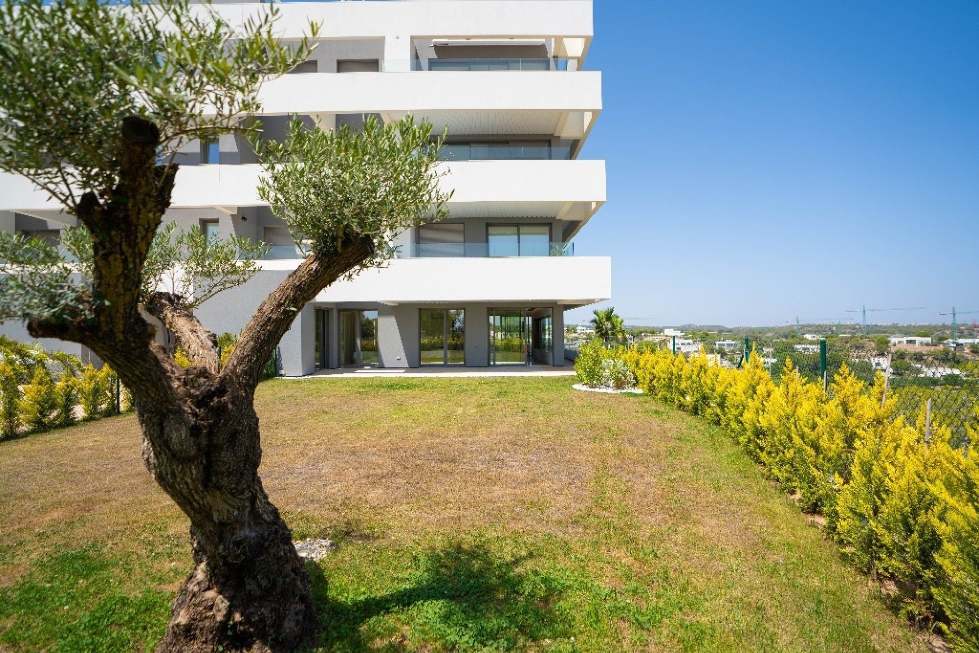 Wiederverkauf - apartment - Orihuela - Las Colinas Golf