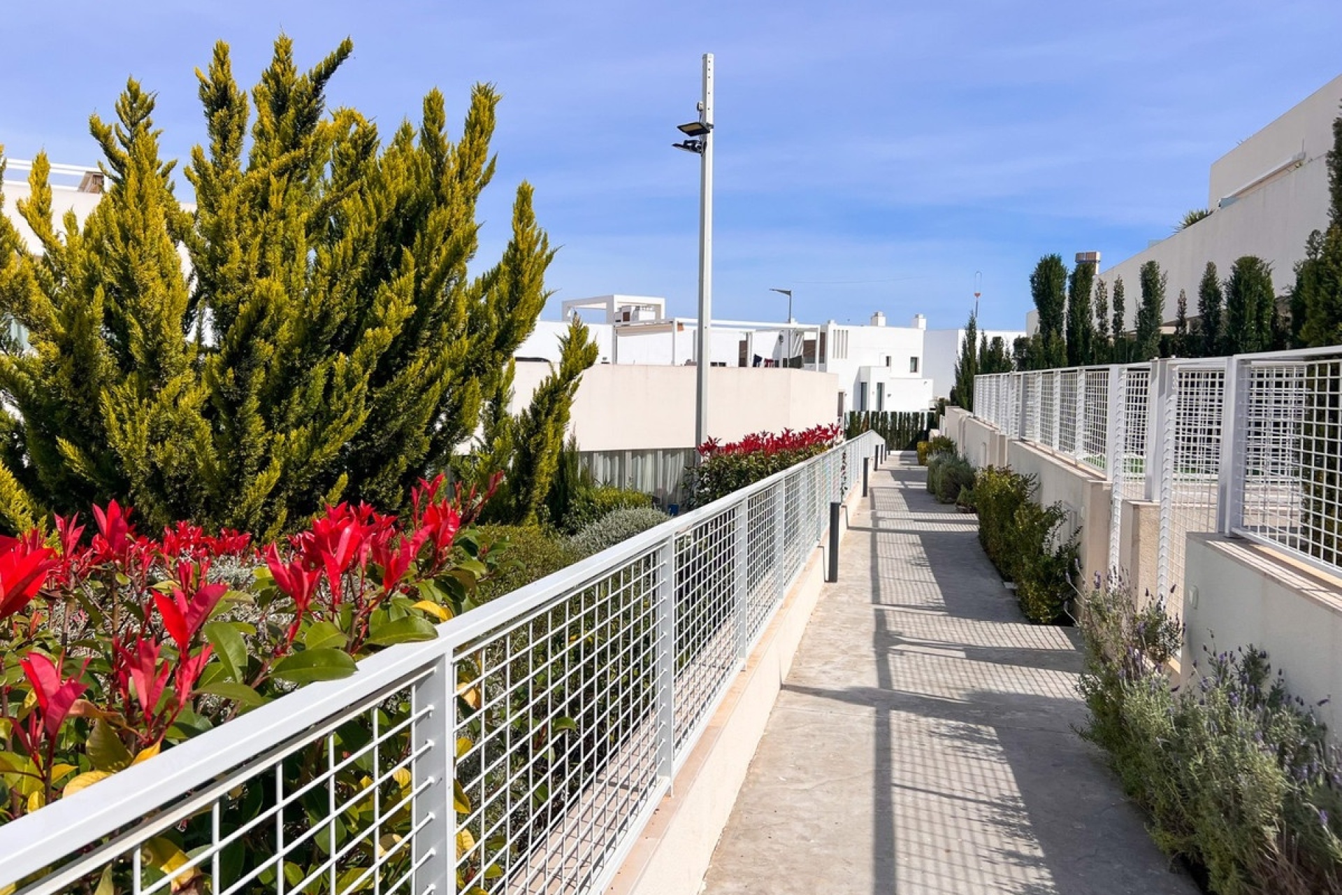 Wiederverkauf - apartment - Orihuela - Los Balcones