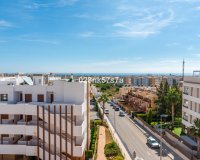 Wiederverkauf - apartment - Orihuela - Los Dolses