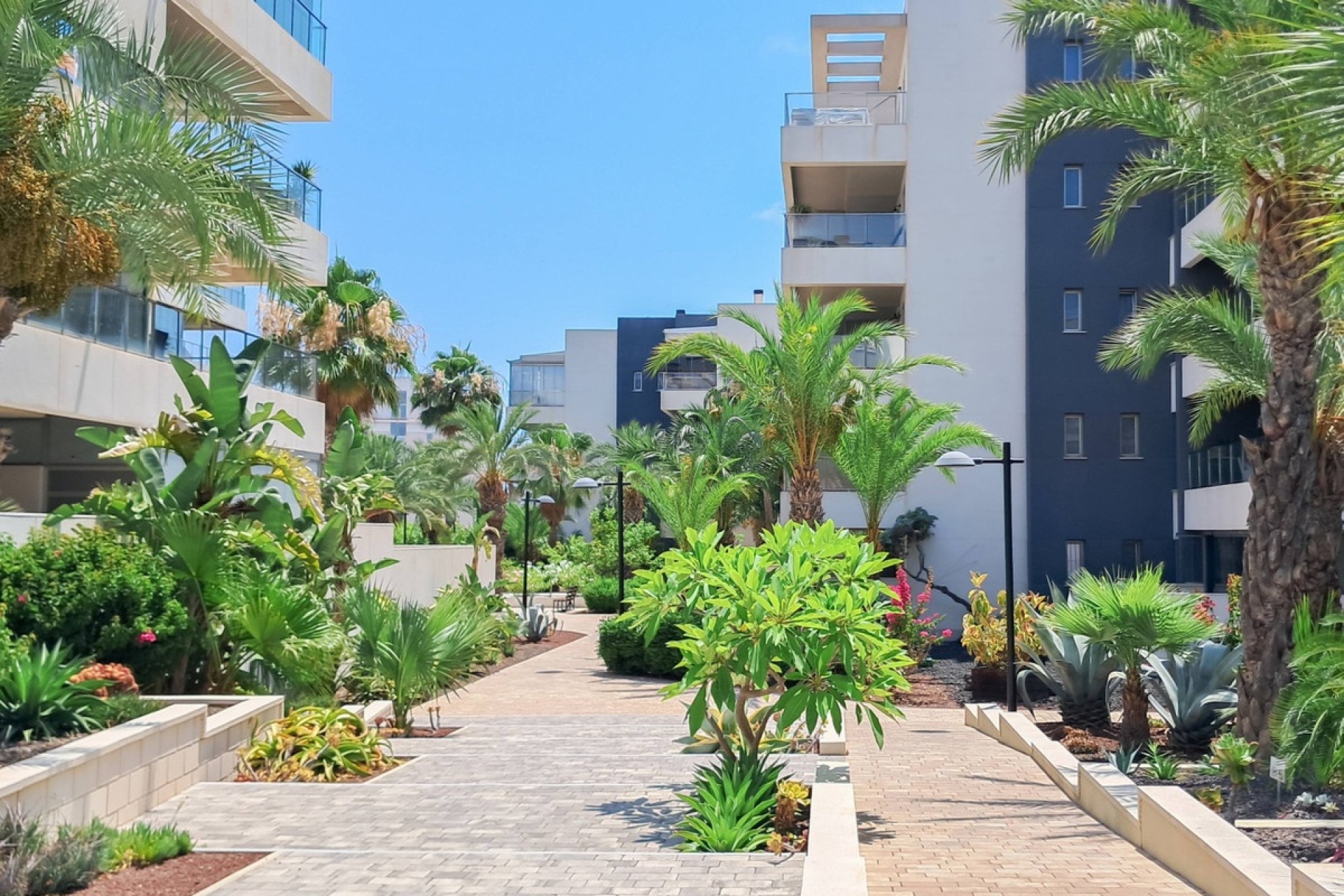 Wiederverkauf - apartment - Orihuela - Los Dolses