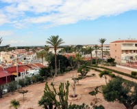 Wiederverkauf - apartment - Orihuela - Mil Palmeras