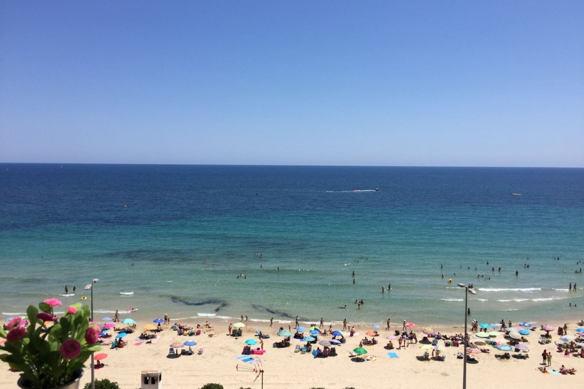 Wiederverkauf - apartment - Orihuela - Mil Palmeras