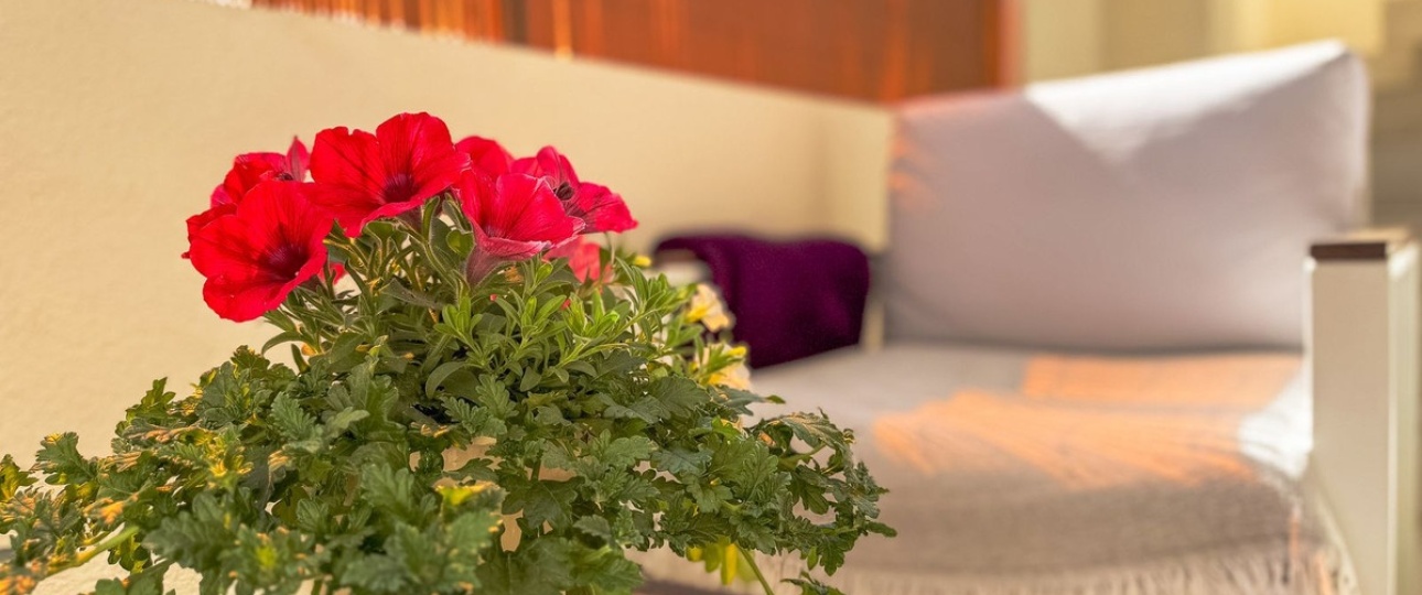 Wiederverkauf - apartment - Orihuela - Orihuela Costa