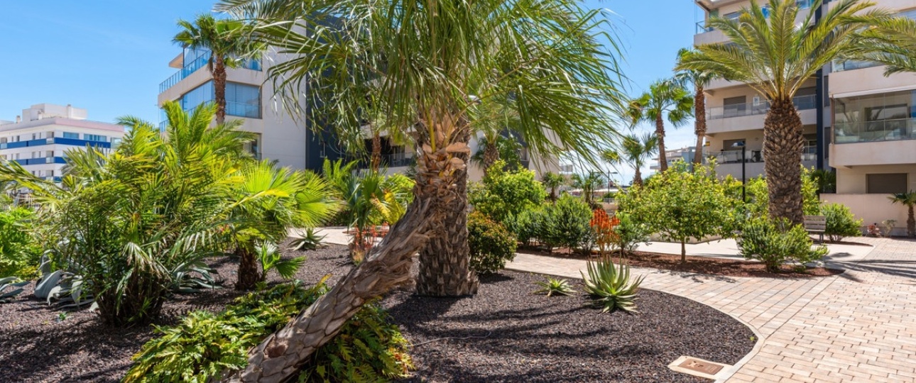 Wiederverkauf - apartment - Orihuela - Orihuela Costa