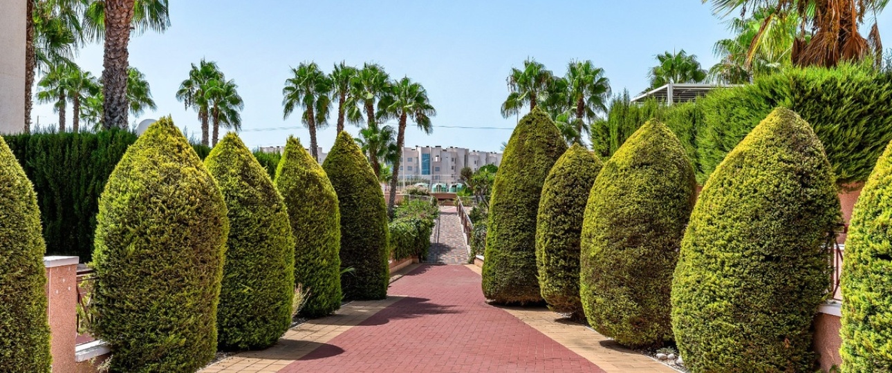 Wiederverkauf - apartment - Orihuela - Playa Flamenca