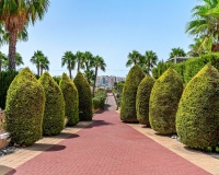 Wiederverkauf - apartment - Orihuela - Playa Flamenca