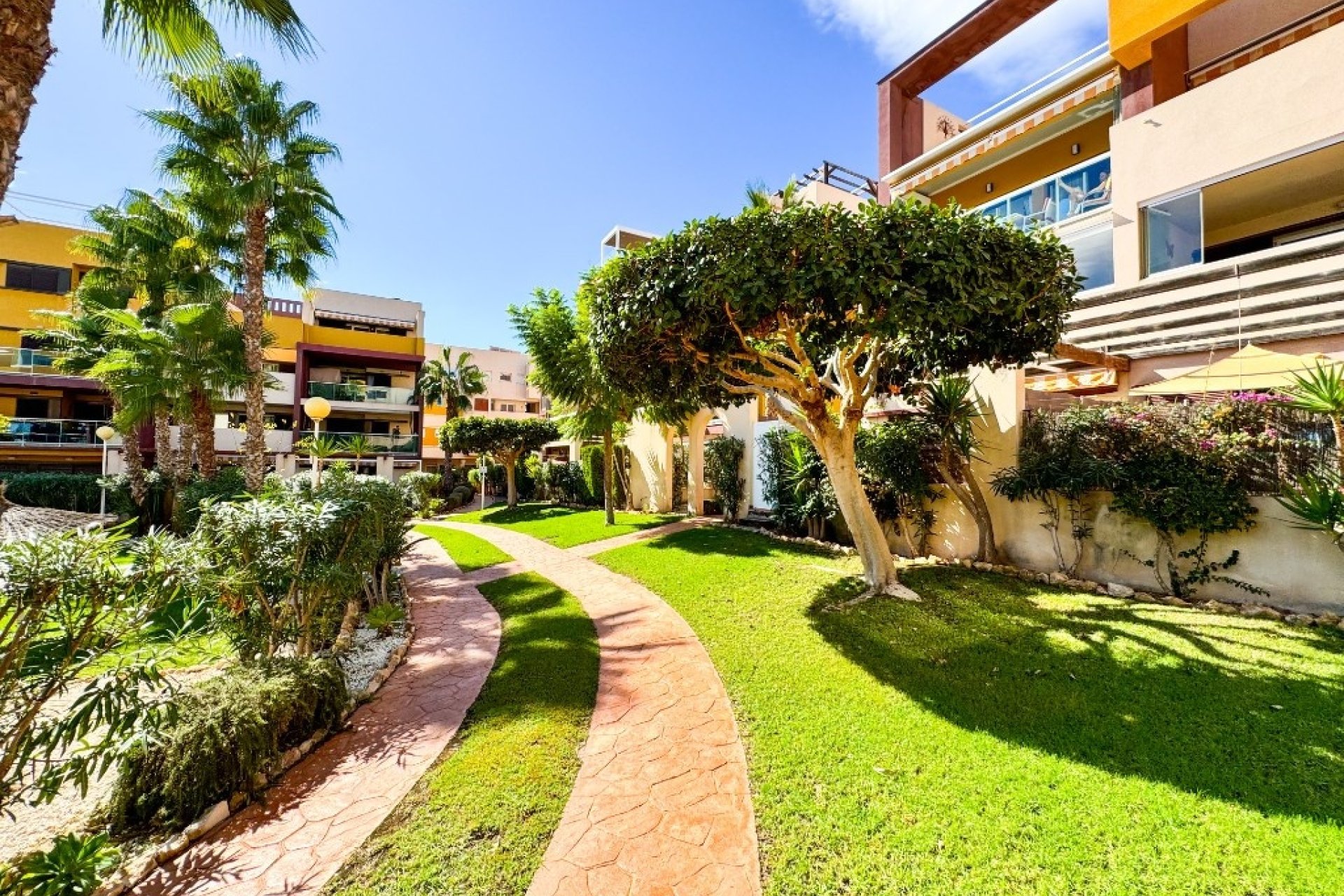 Wiederverkauf - apartment - Orihuela - Playa Flamenca