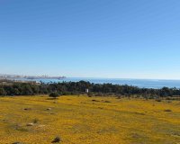 Wiederverkauf - apartment - Orihuela - Punta Prima