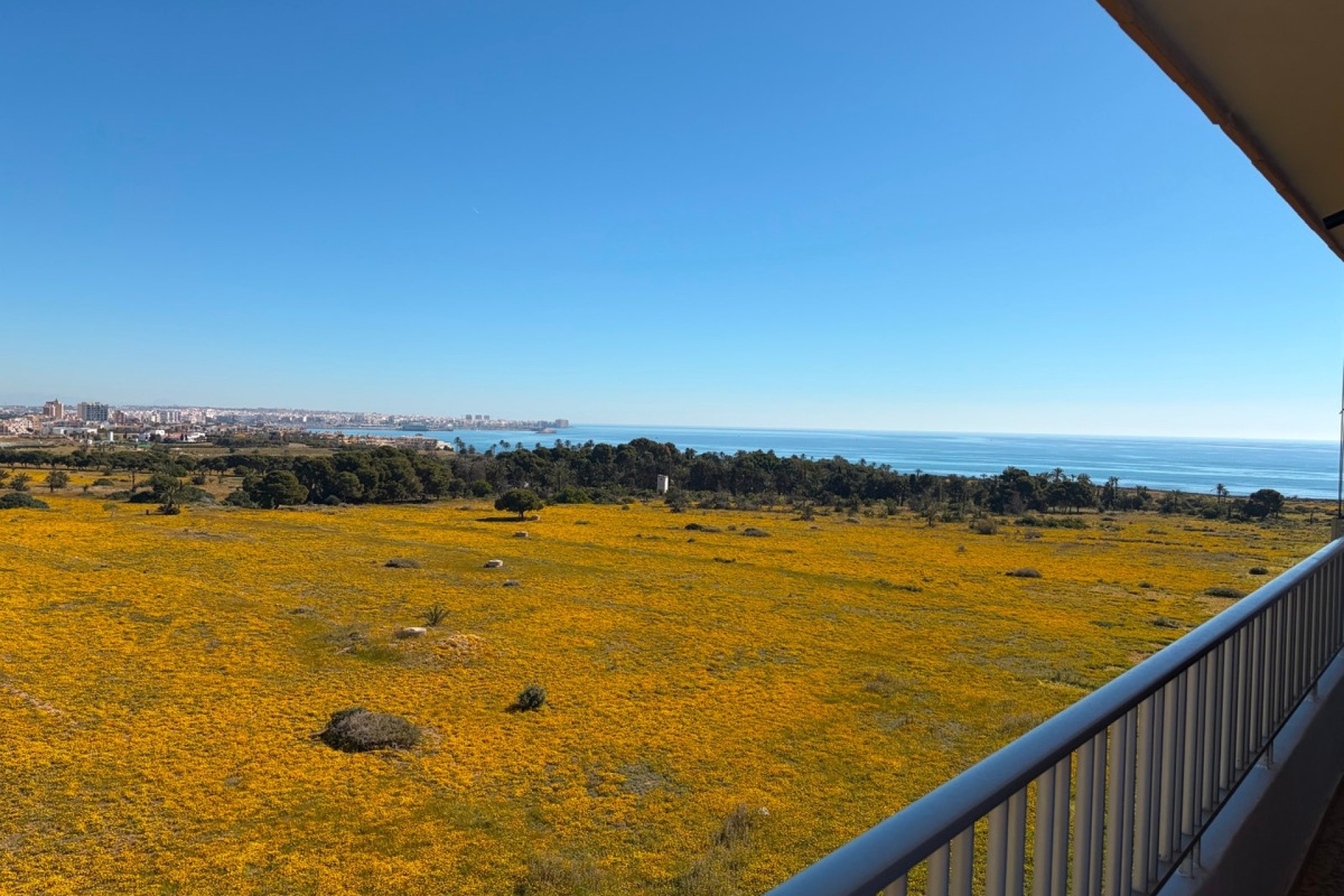 Wiederverkauf - apartment - Orihuela - Punta Prima