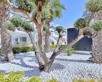Wiederverkauf - apartment - Orihuela - Punta Prima