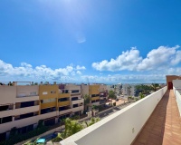 Wiederverkauf - apartment - Orihuela - Punta Prima