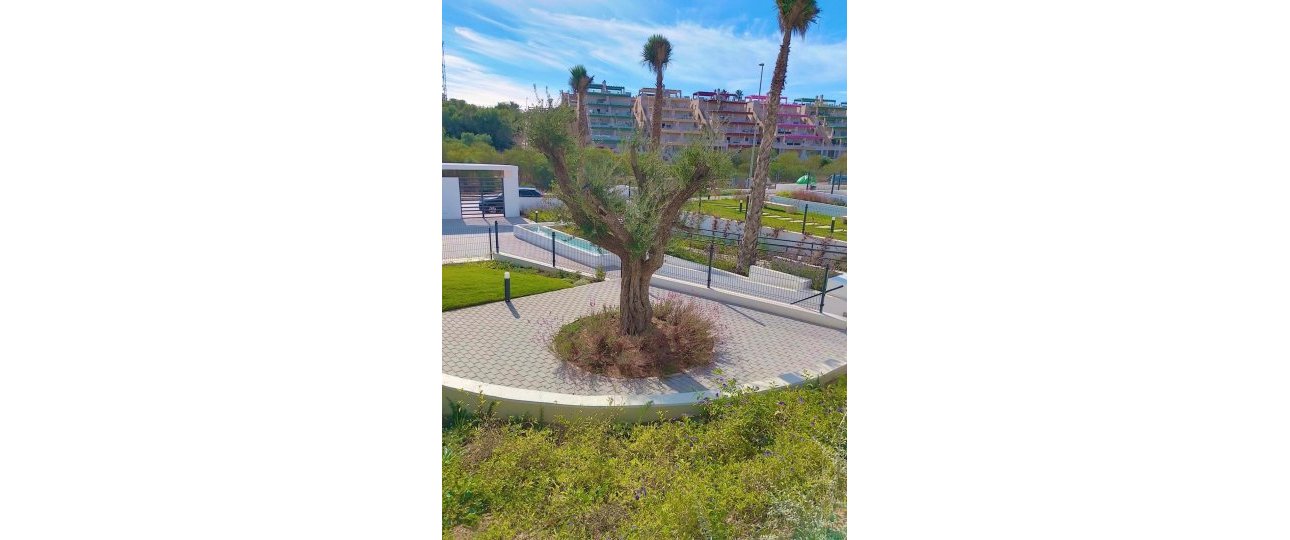 Wiederverkauf - apartment - Orihuela - Villamartin