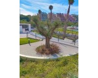Wiederverkauf - apartment - Orihuela - Villamartin