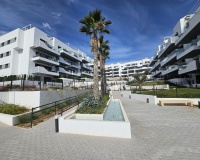 Wiederverkauf - apartment - Orihuela - Villamartin