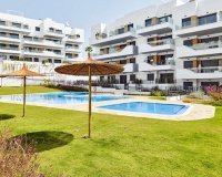 Wiederverkauf - apartment - Orihuela - Villamartin