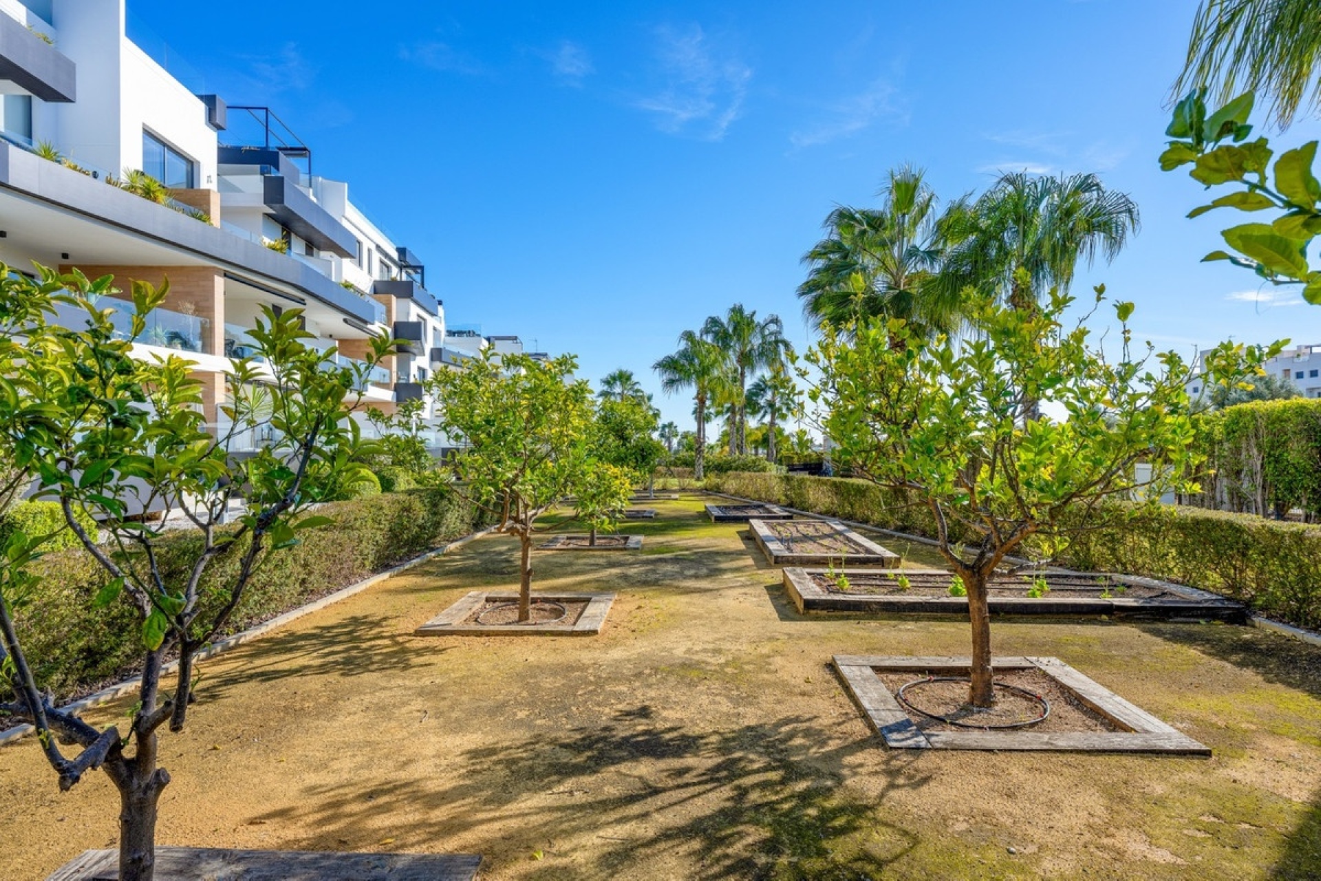 Wiederverkauf - apartment - Orihuela - Villamartin
